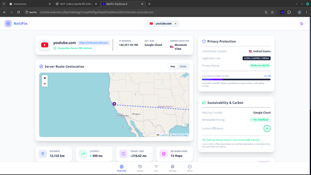 NetPin Dashboard Snapshot